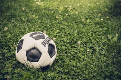 منتخب مصر لكرة اليد في كأس العالمتاريخ مشرق وتطلعات مستقبلية